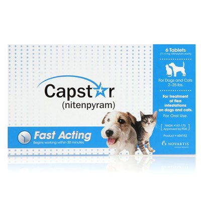 capstar for cats small