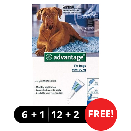 Advantage Extra Large Dogs over 55 lbs (Blue)