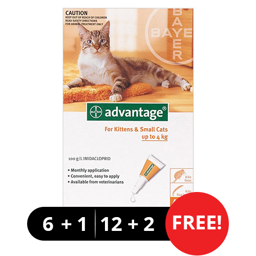 Advantage Kittens & Small Cats 1-10lbs