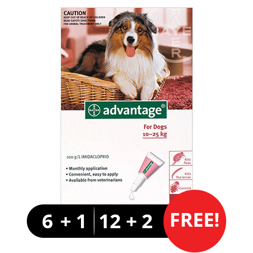 Advantage Large Dogs 21-55lbs (Red)