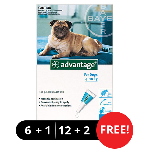 Advantage Medium Dogs 11-20lbs (Aqua)