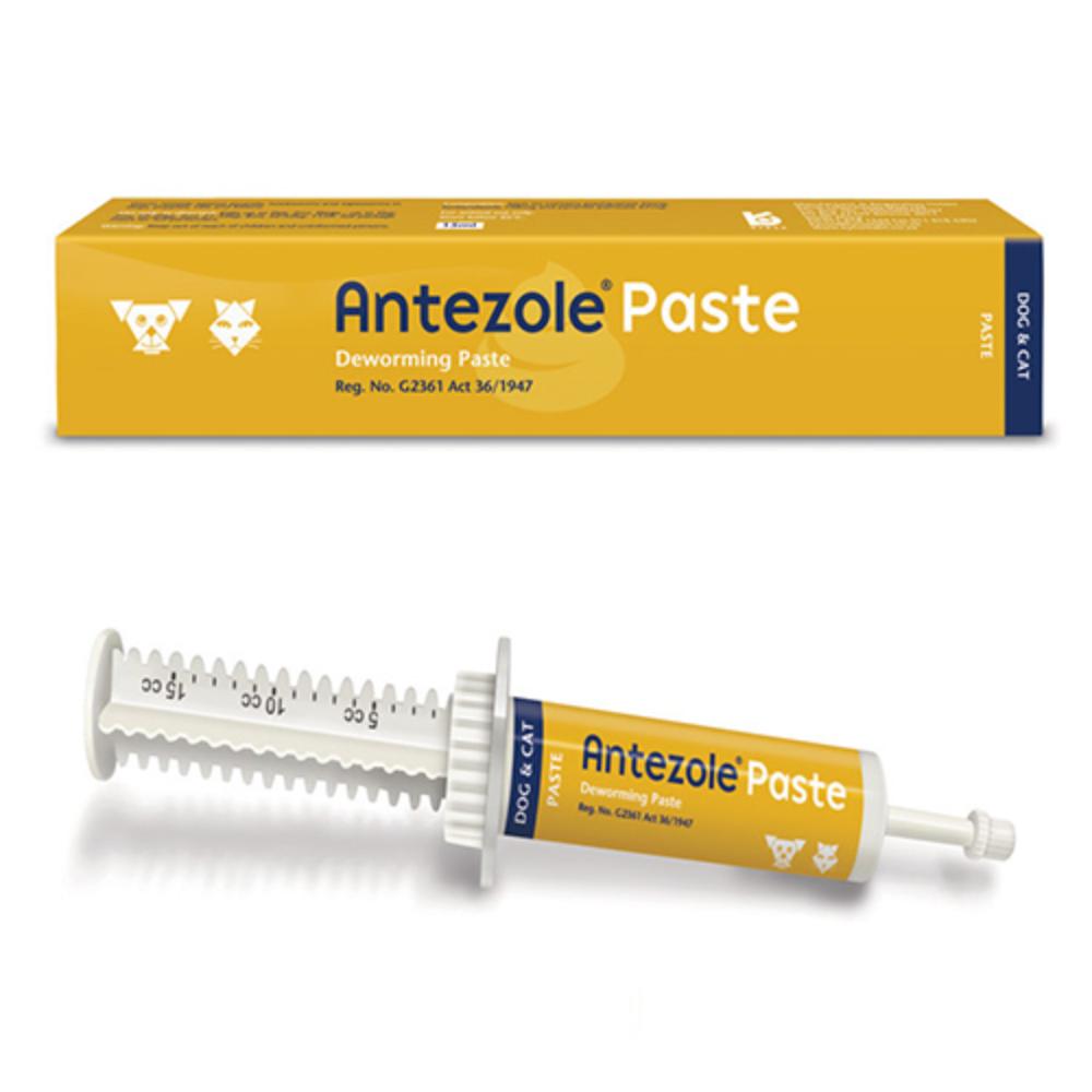 Antezole Paste for Dog Supplies