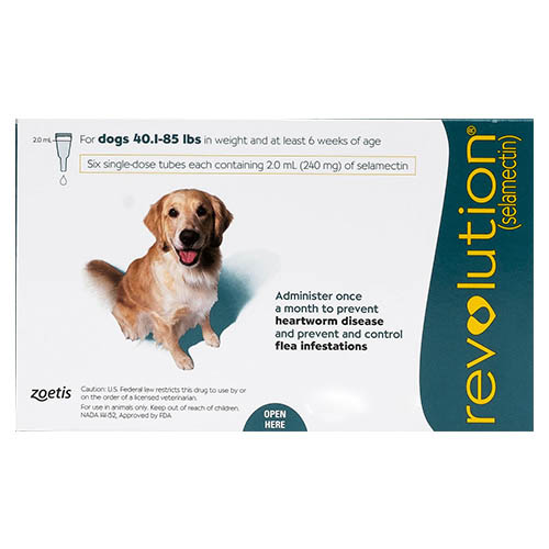 Revolution for Large Dogs 40.1-85lbs (Green)